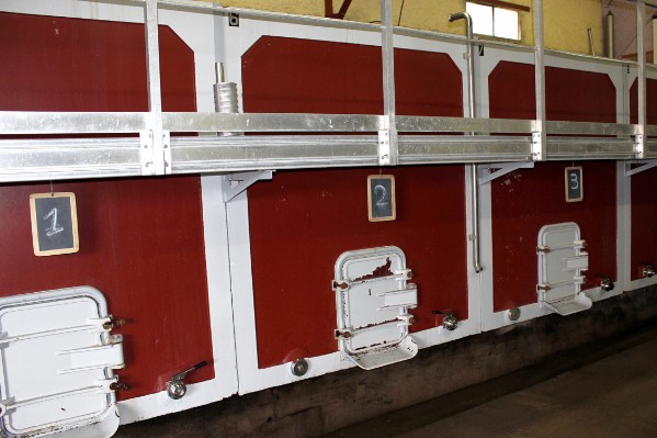 Un nouvel outil pour traquer Brettanomyces dans les vins