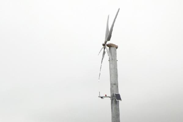 'Le niveau sonore a baissé de 20 dB', des éoliennes plus discrètes pour lutter contre le gel dans les vignes