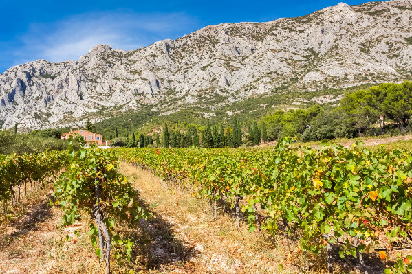 Les vins de Provence ont leur premier cru : Sainte-Victoire !