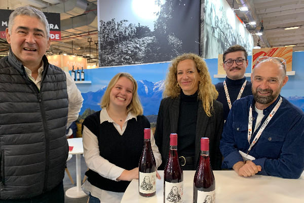Peu d'alcool et pas de désalcoolisation pour ces vins rouges méridionaux