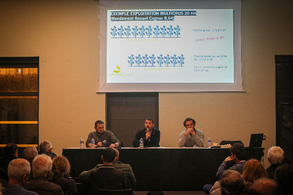 Cognac enclenche sa réduction du vignoble, 'usine à gaz' ou 'économies de charges' ?