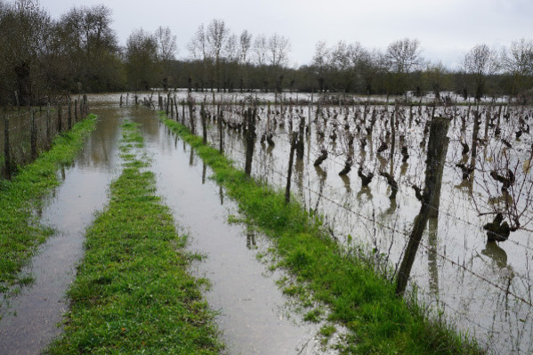 Les Vignerons Indépendants quittent le navire de la Confédération