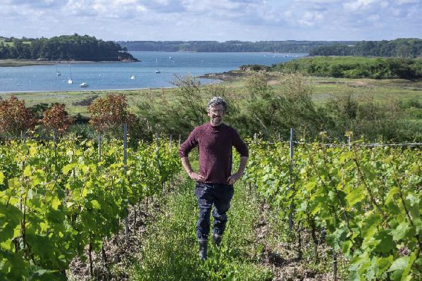 'On nous a pris pour des fous !' Pourquoi ces néo-vignerons se sont installés dans le 35