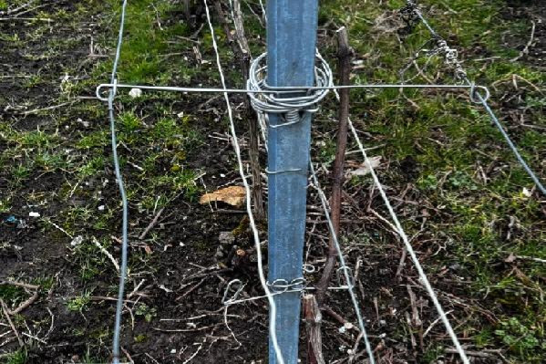 'Je fais en cinq jours, ce que je faisais en trois semaines' Les écarteurs à l’épreuve des hectares de vigne