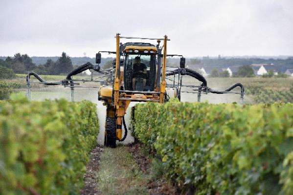 'Fini le temps où les vignerons passaient commande pour toute la saison !' Des achats de phytos au coup par coup