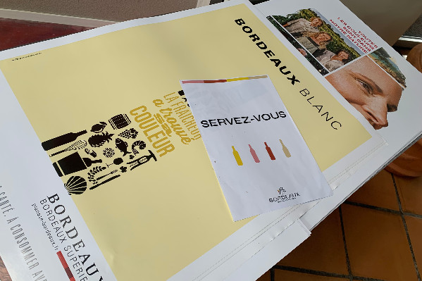 -10 % de vignes AOC Bordeaux en 2024