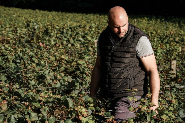 Ce vigneron-négociant investit en Hautes-Côtes de Nuits