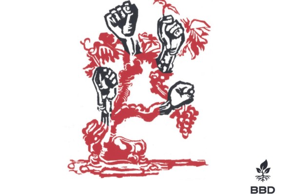 Les vins de cépages résistants en 101 questions-réponses