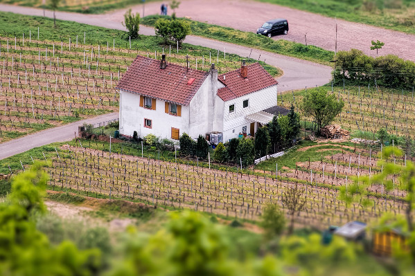 L’obligation de zone sans phyto transférée des parcelles agricoles aux projets immobiliers
