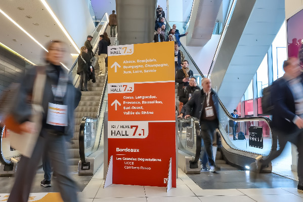 'Comprendre ce que le client de vin veut est toujours une stratégie gagnante'