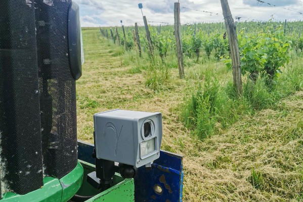 La pression mildiou captée et cartographiée dans les vignes