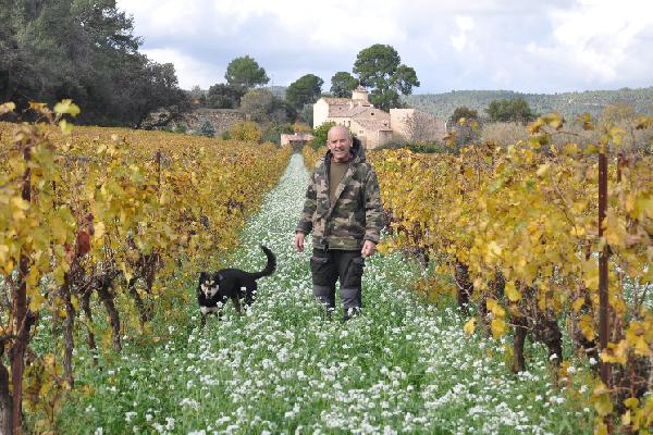 La rentabilité des exploitations bio chute de plus de 20 % en 3 ans