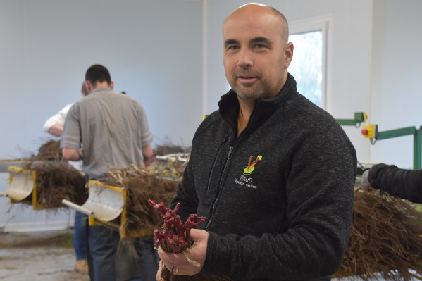 Guillaume Careil préside les pépiniéristes viticoles du Val de Loire