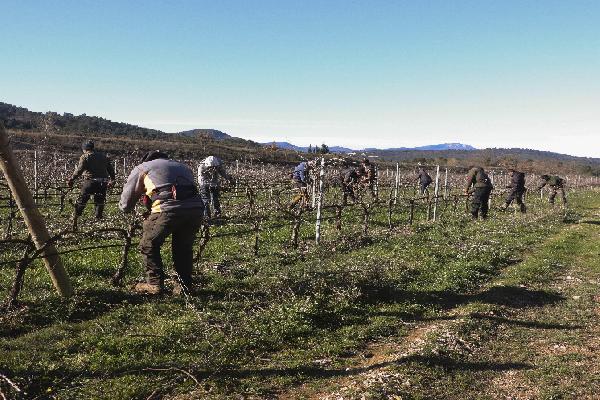 'Les tailleurs ont laissé tous les coursons au lieu de n'en garder que six' : quand les prestataires ne rendent pas toujours service