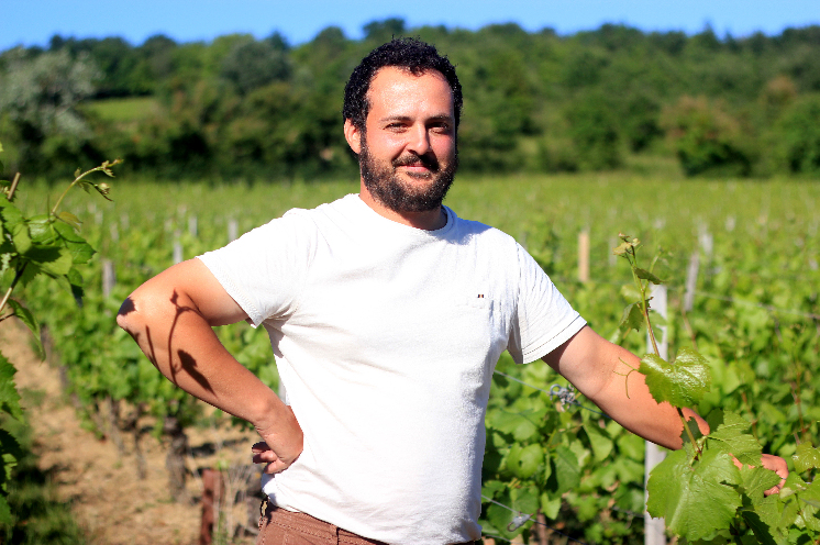 Pas de frustration vigneronne en cave coopérative : 