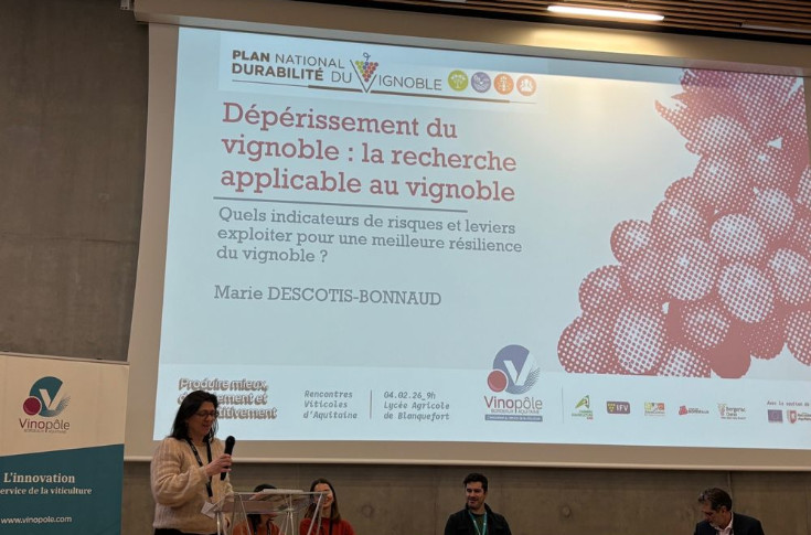 Pas de rognage tardif pour favoriser la résilience de la vigne à l’esca