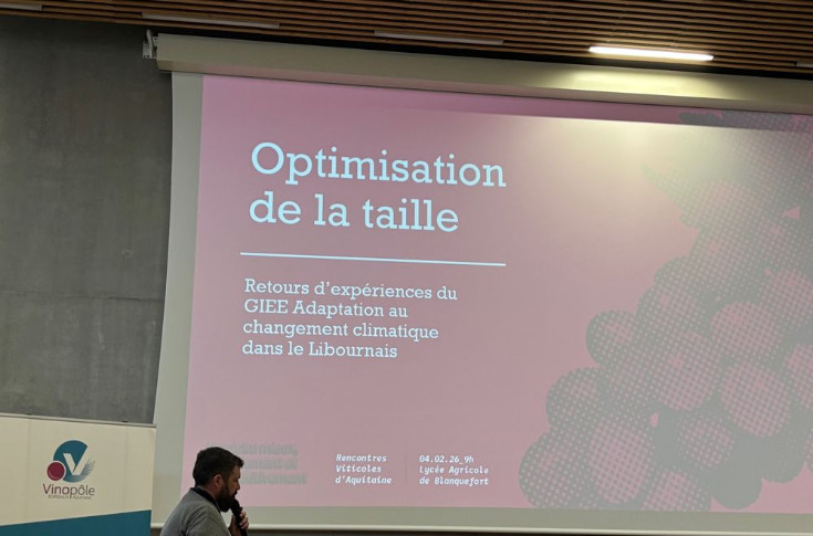 Retarder l’ébourgeonnage : un autre moyen de lutte contre le gel dans les vignes