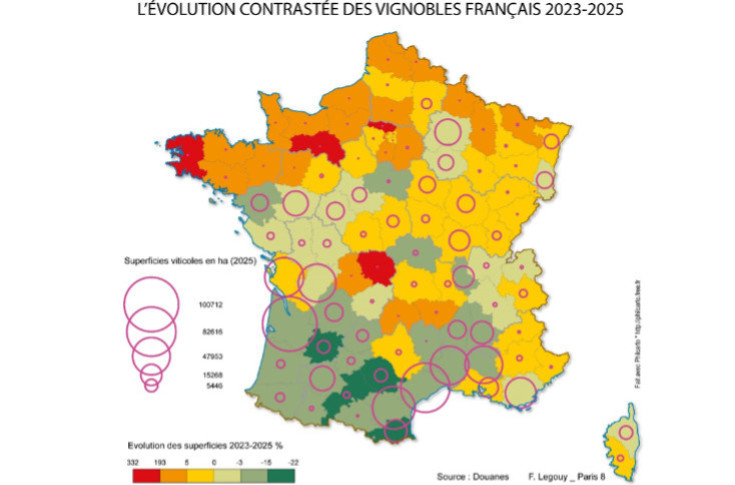 La carte des vignes en France mute : -15 % à Bordeaux, -9 % en Languedoc, +74 % en Normandie, +78 % en Bretagne...