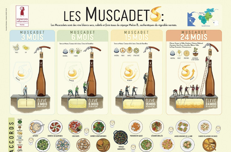 Les vins nantais avancent à pas Comté sur la segmentation et peuvent compter sur un Juste prix