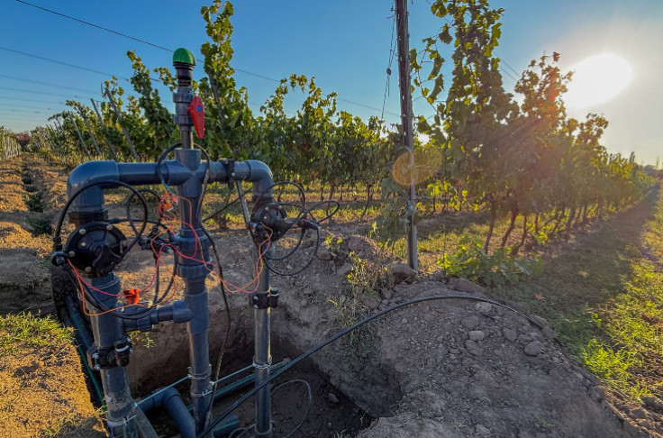 L’irrigation du vignoble bordelais impossible sans nouvelles ressources en eau