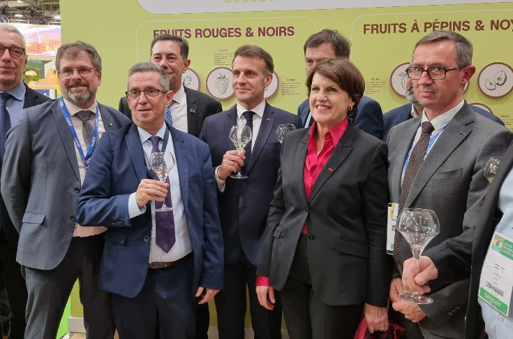 L’OCM vin sur la sellette : les aides européennes vitivinicoles en suspens dans la PAC post-2027