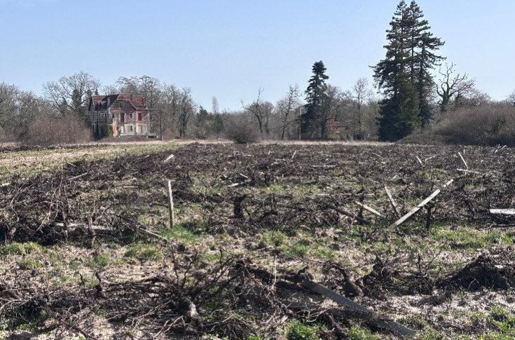 30 millions € pour lancer le rachat des vignobles arrachés à Bordeaux