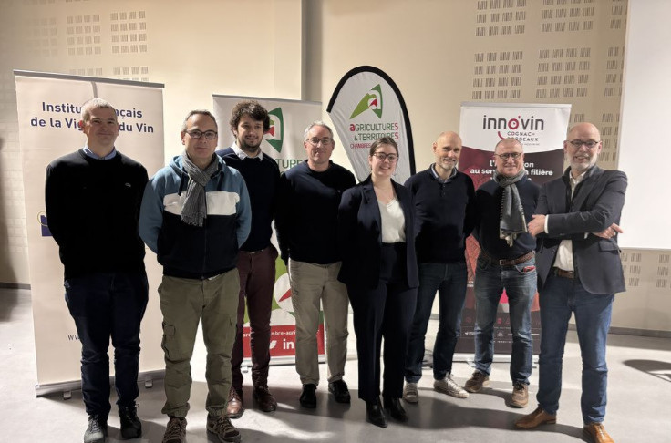 Le risque de gel de printemps n'augmente pas dans les vignes avec le réchauffement climatique