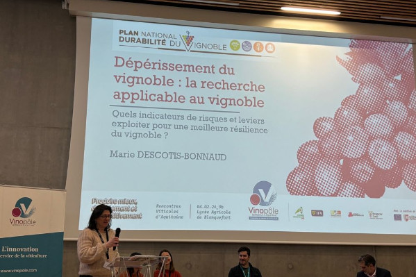 Pas de rognage tardif pour favoriser la résilience de la vigne à l’esca