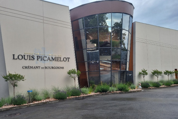 Louis Jadot ventures into Crémants de Bourgogne with category specialist Louis Picamelot