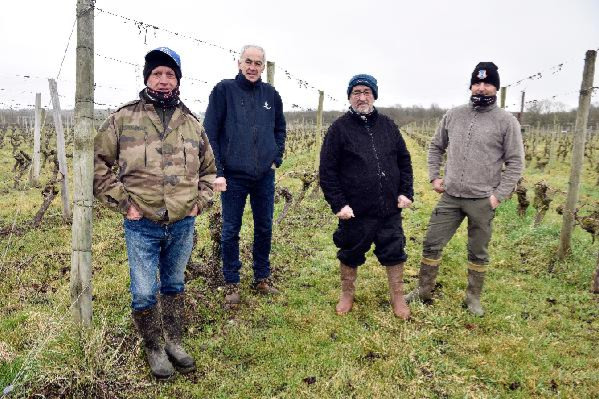 Test d'attacheurs dans les vignes angevines : cette machine plie le match !