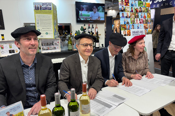 +200 €/ha 'pour quelques centimes de plus par bouteille' de vin : partenariat rémunérateur entre Plaimont et l'enseigne U