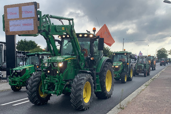 Le négoce de Cognac ne veut pas de manif, mais un vignoble compréhensif sur ses sacrifices et l’arrivée 