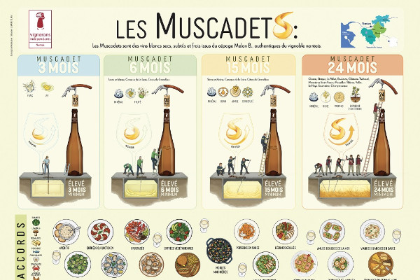 Les vins nantais avancent à pas Comté sur la segmentation et peuvent compter sur un Juste prix