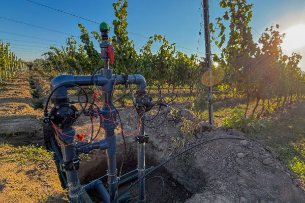 L’irrigation du vignoble bordelais impossible sans nouvelles ressources en eau