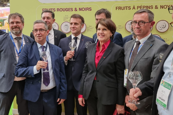 L’OCM vin sur la sellette : les aides européennes vitivinicoles en suspens dans la PAC post-2027