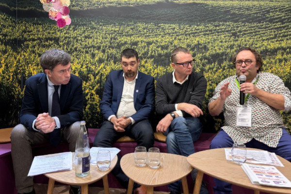 Attaques en justice contre l'Anses et pour sauver le cuivre dans les vignes : 'cette règlementation est inapplicable et irresponsable'