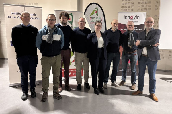 Le risque de gel de printemps n'augmente pas dans les vignes avec le réchauffement climatique