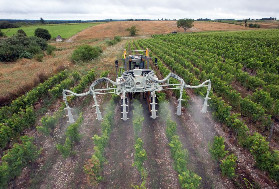 Cinq enjeux de la protection du vignoble pour 2026