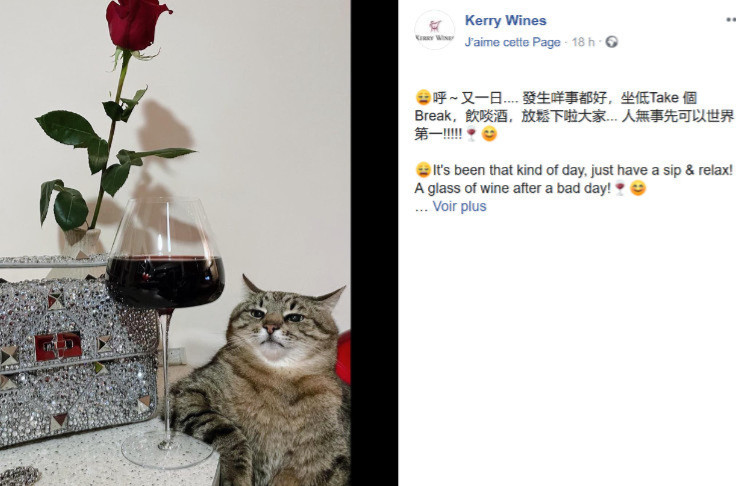 La Chine sanctionne les communications sur les bienfaits du vin pour la santé