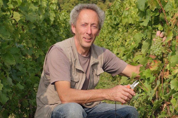Bond des engagements bio dans le vignoble de Champagne en 2021