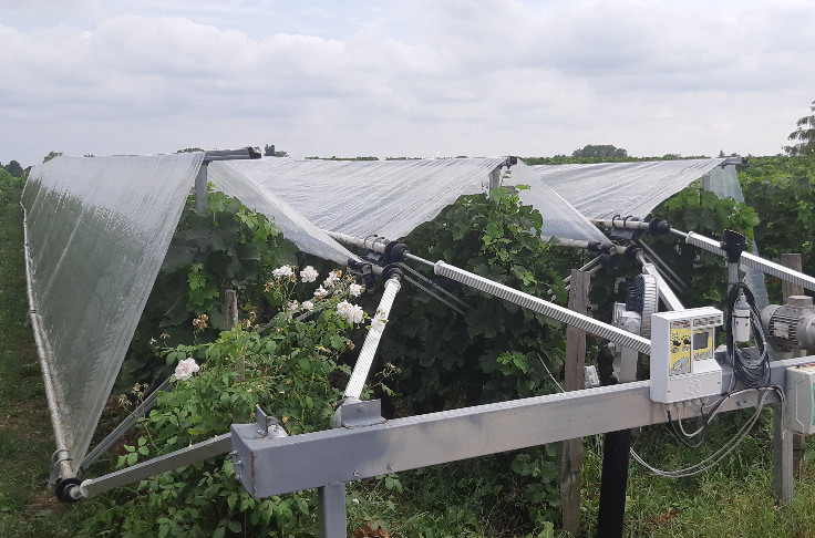 20 € par mètre de vigne protégée du mildiou et du gel pour Viti-tunnel
