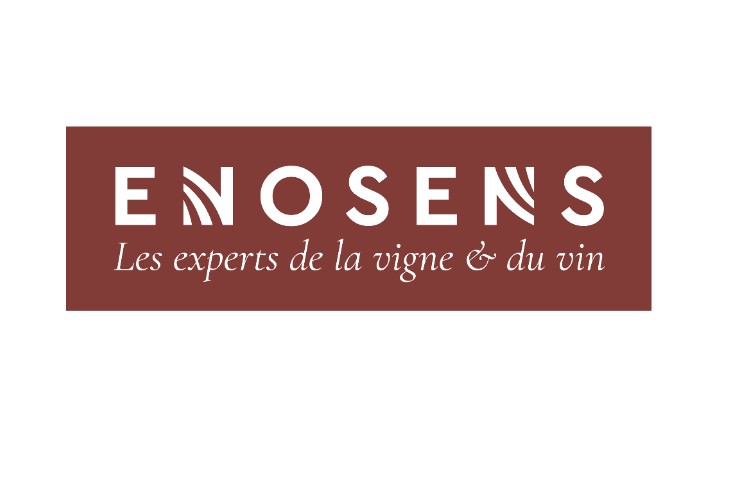 Enosens prend le leadership du conseil viti-vinicole à Bordeaux