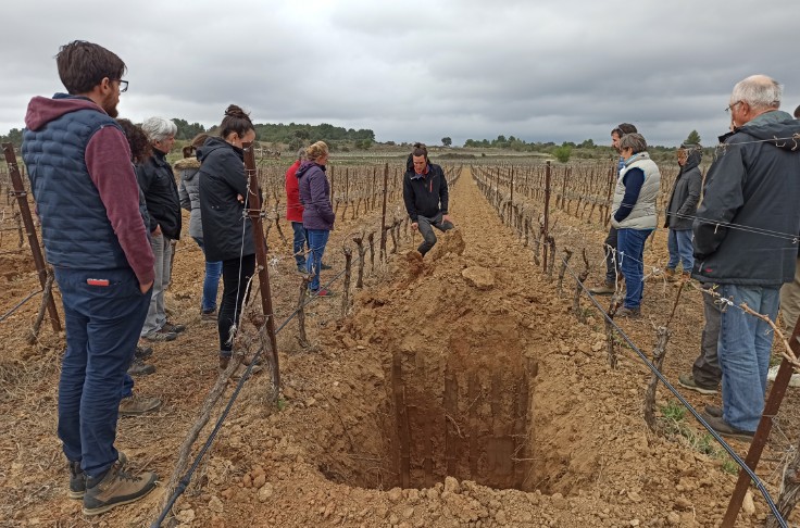 Plusieurs façons de redonner vie aux sols vignerons