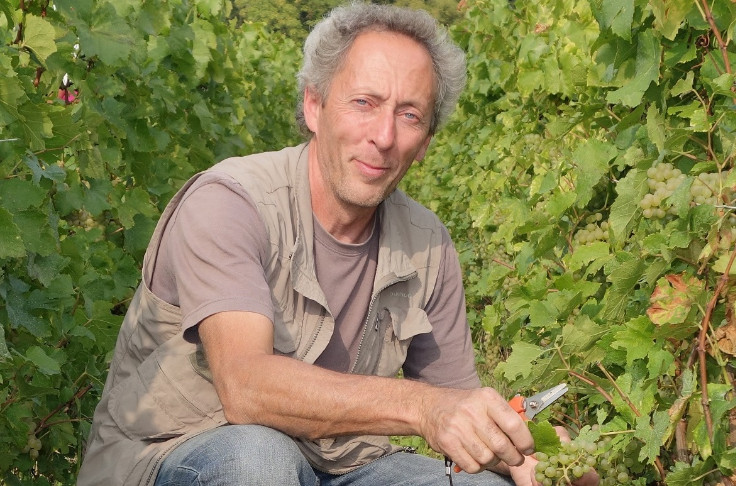 Organic commitments in Champagne skyrocket in 2021 Organic commitments in Champagne skyrocket in 2021