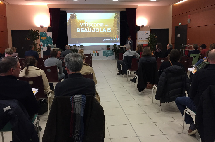 Embellie des résultats économiques pour les vins du Beaujolais
