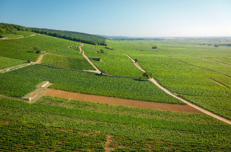 L’État se penche sur la transmission en viticulture