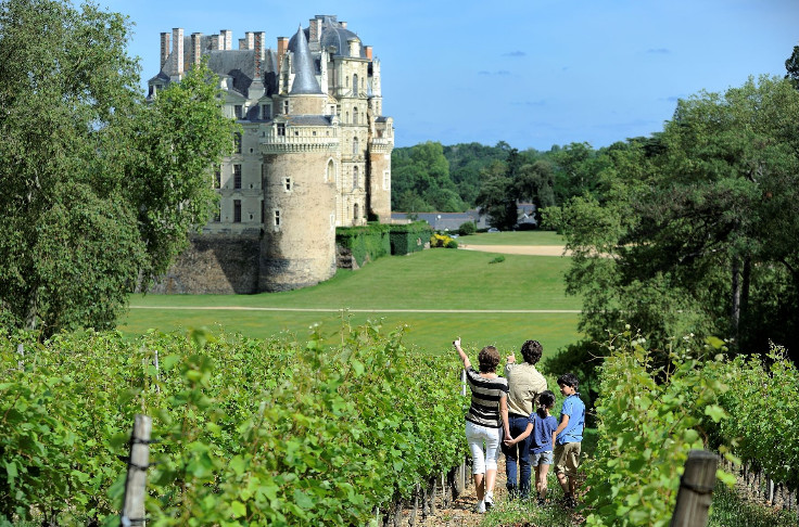 Visiteurs et dépenses en hausse pour l’œnotourisme en val de Loire