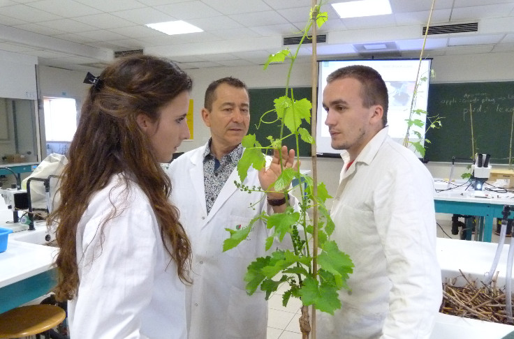Lieu unique pour la recherche et la formation sur la vigne et le vin à Montpellier