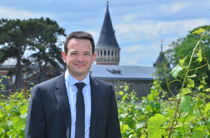 Coup de frein pour la bio des champagnes Vranken
