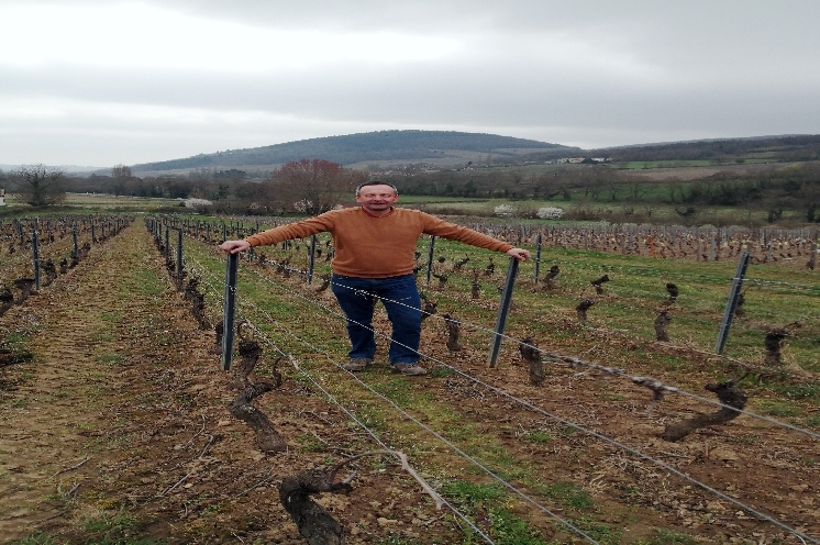  Trois vignerons expliquent comment ils font face à la hausse des coûts